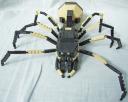 spider_2.jpg