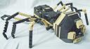 spider_4.jpg