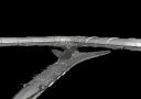 basestar4.png
