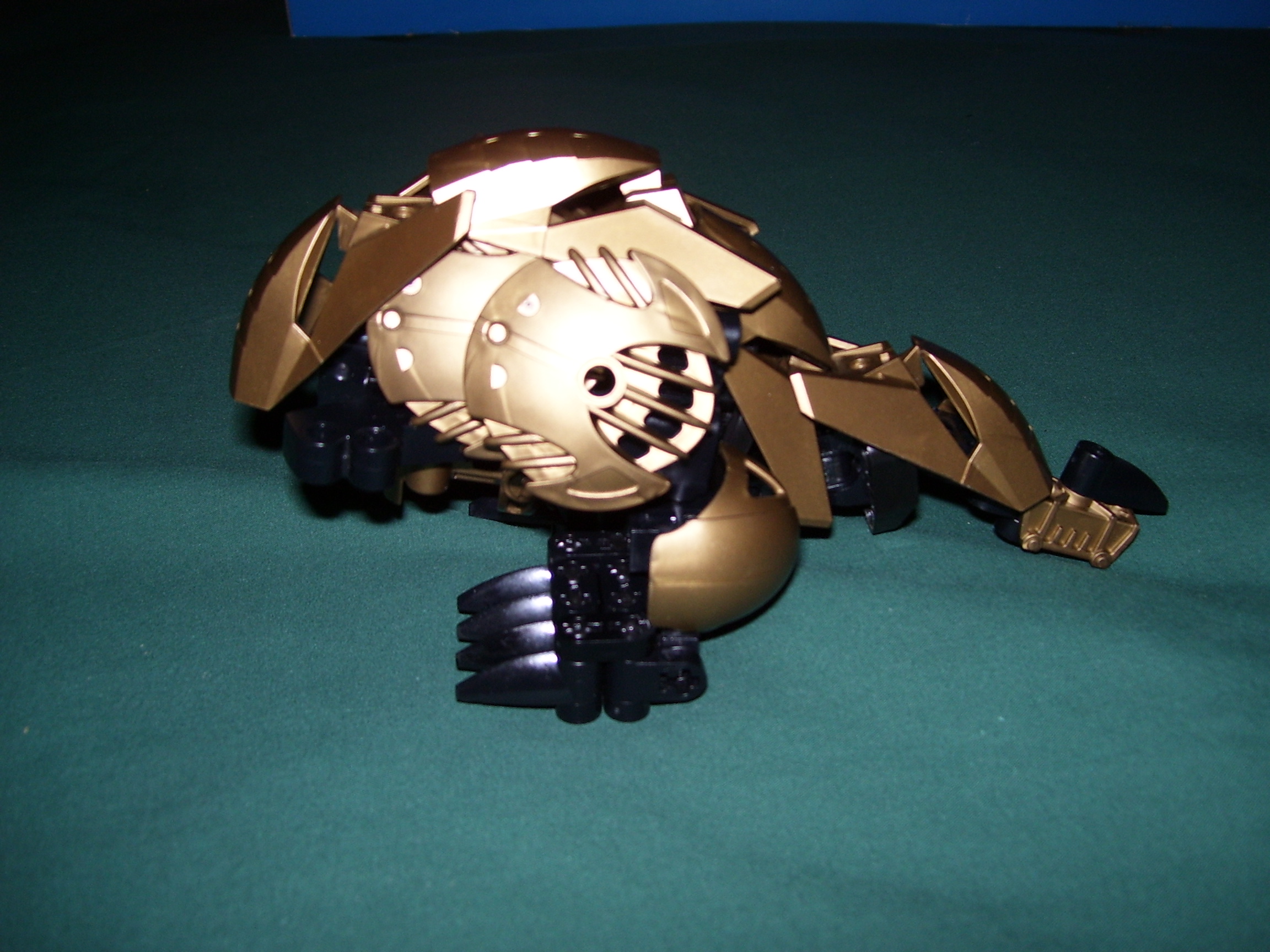 000_0295.jpg