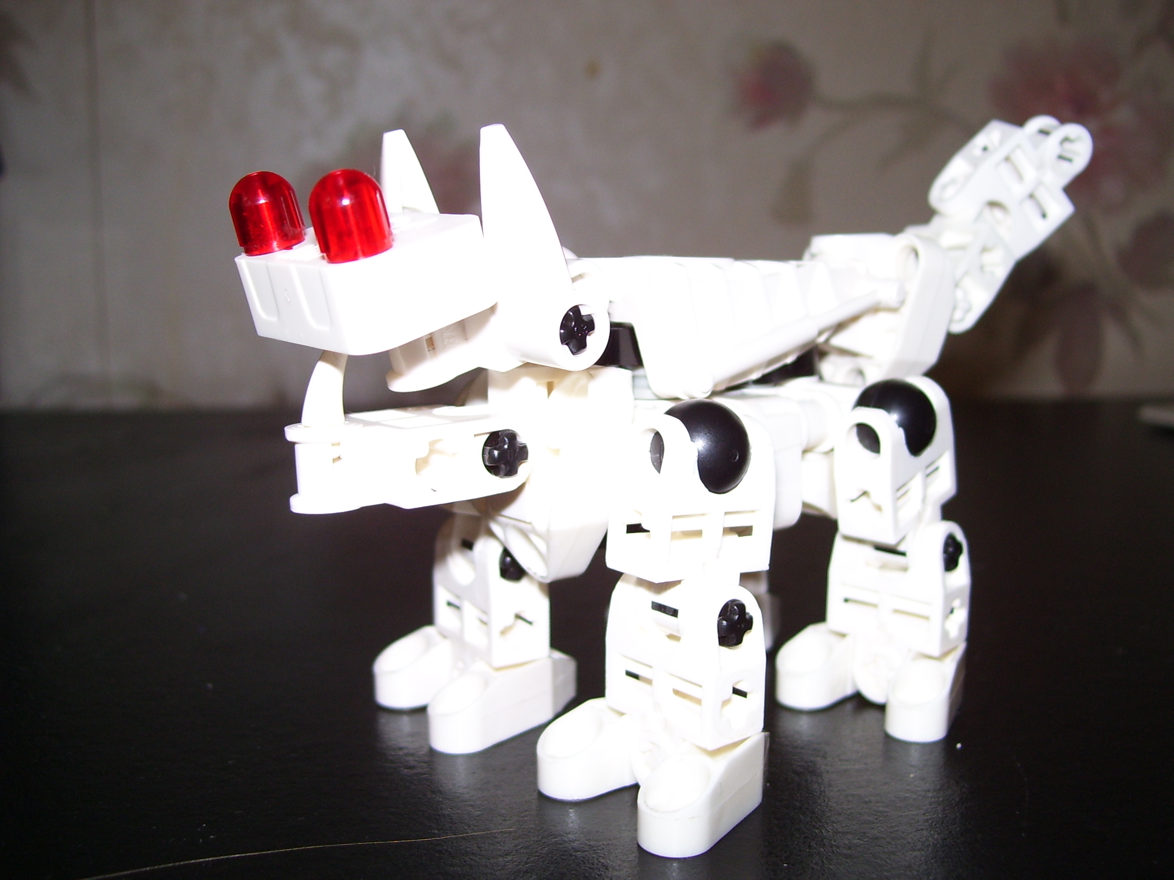 000_0395.jpg