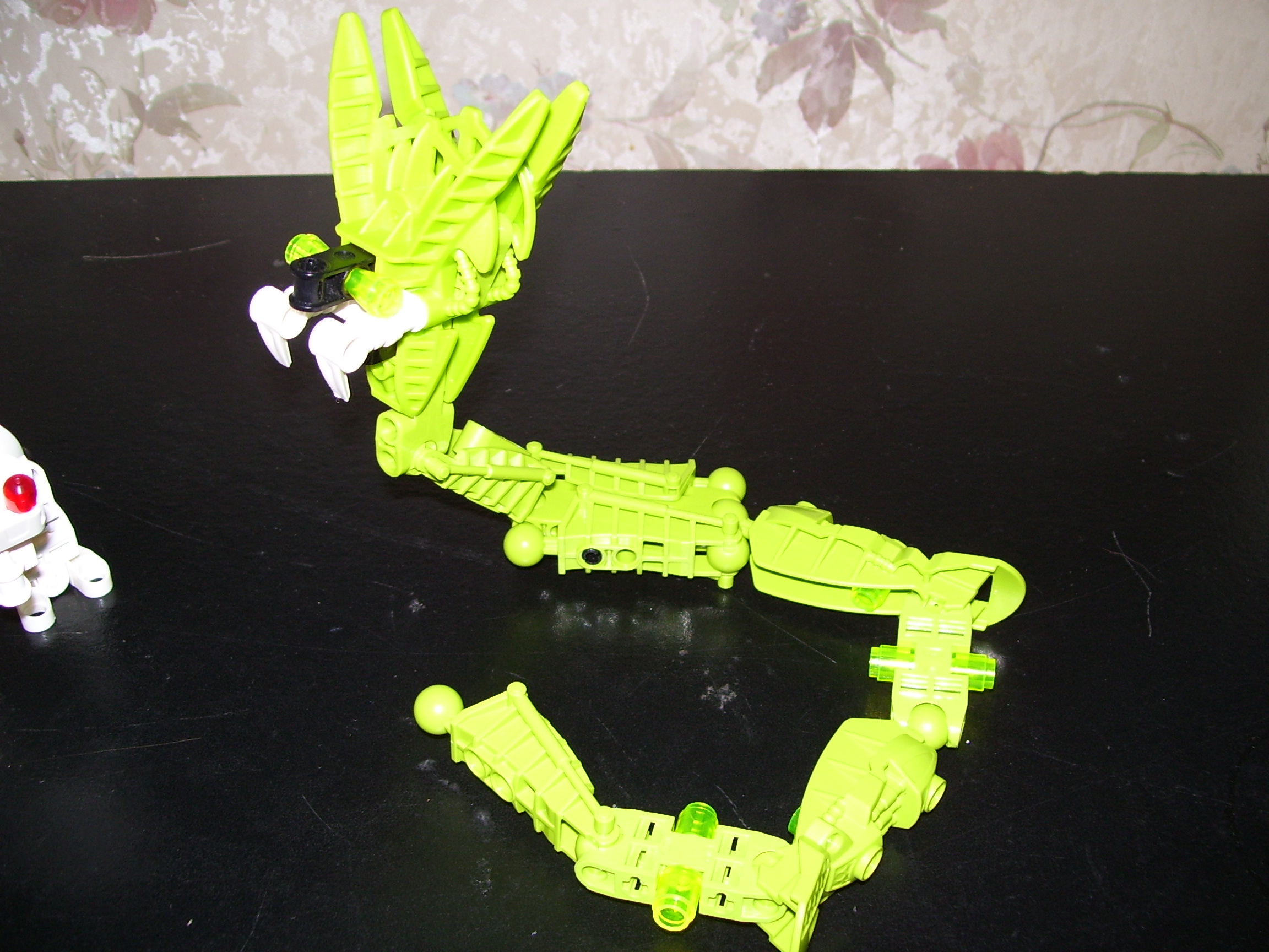 000_0407.jpg