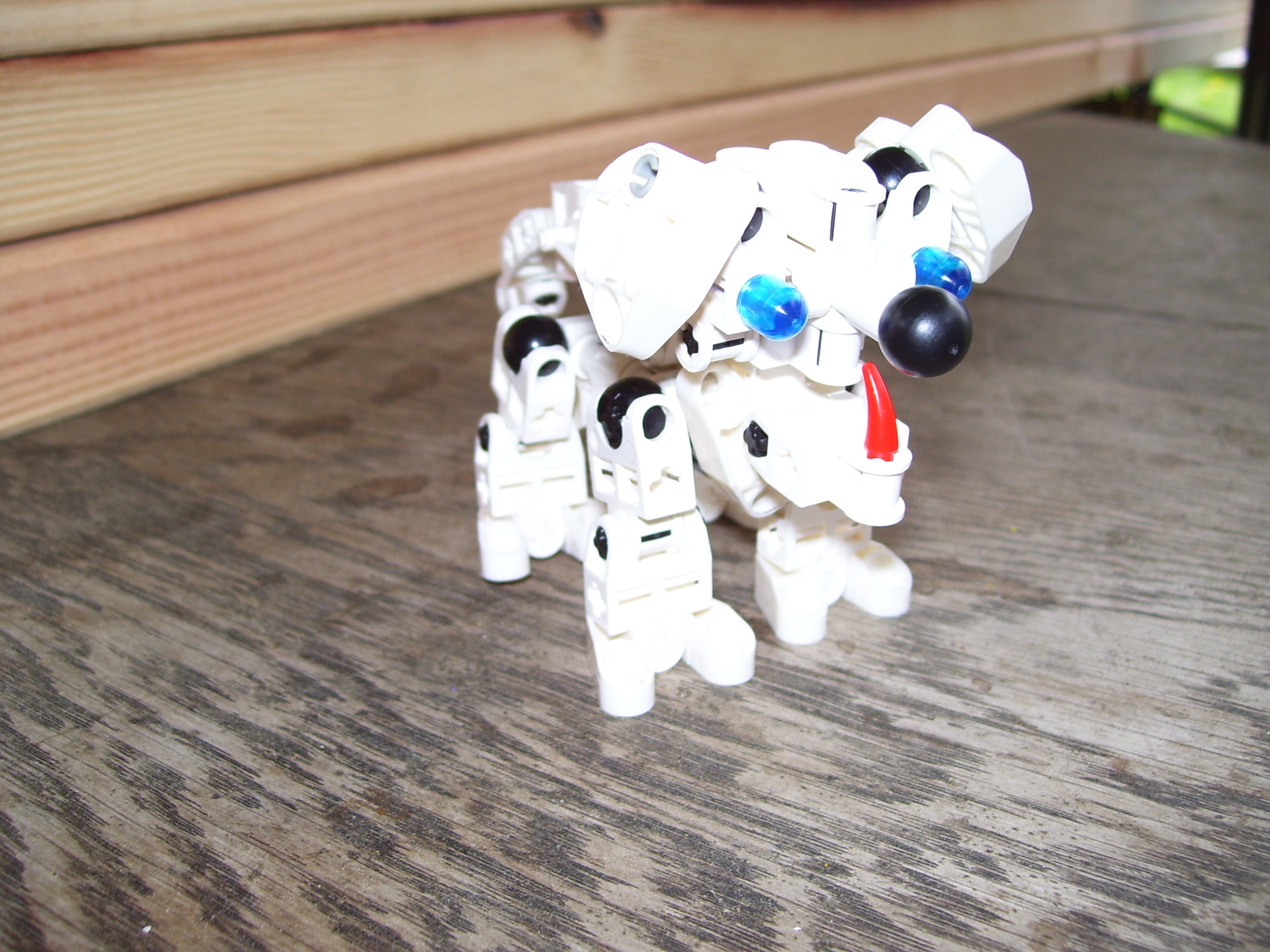 000_0422.jpg