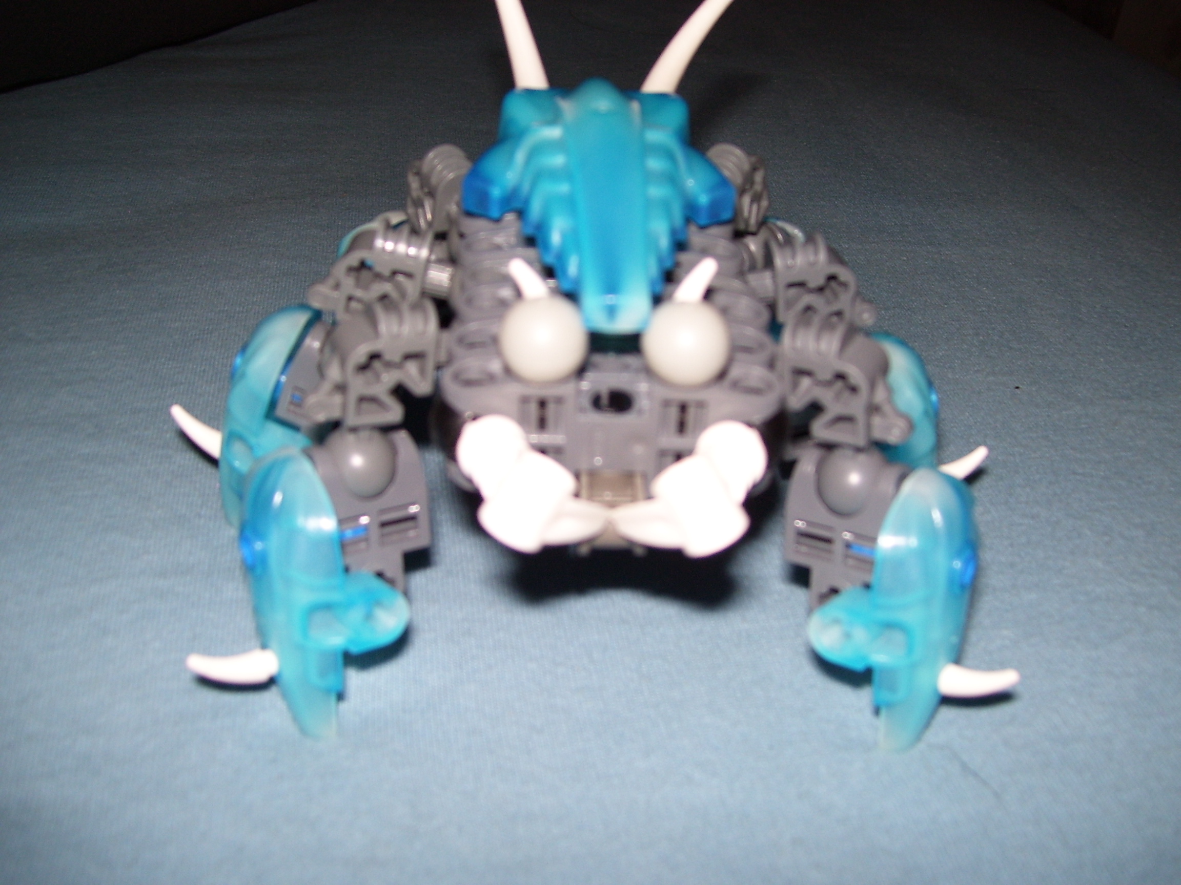 000_0429.jpg