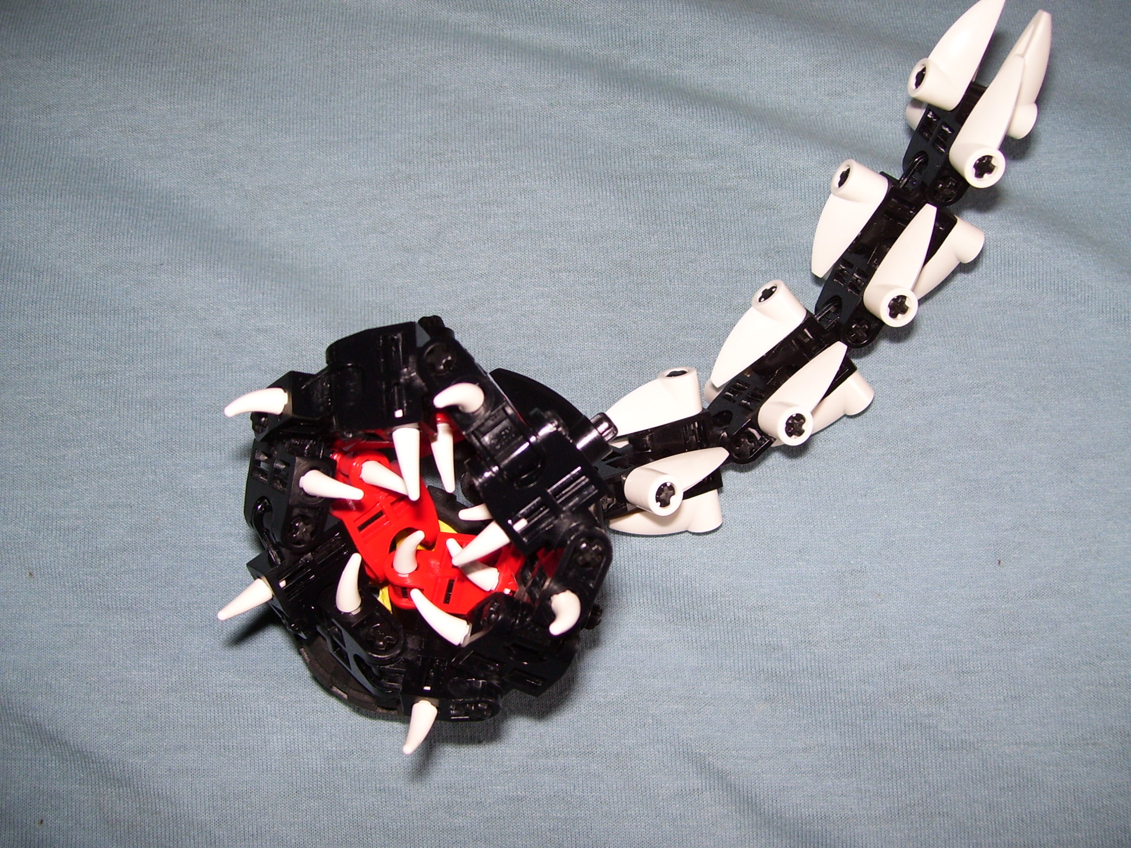 000_0484.jpg