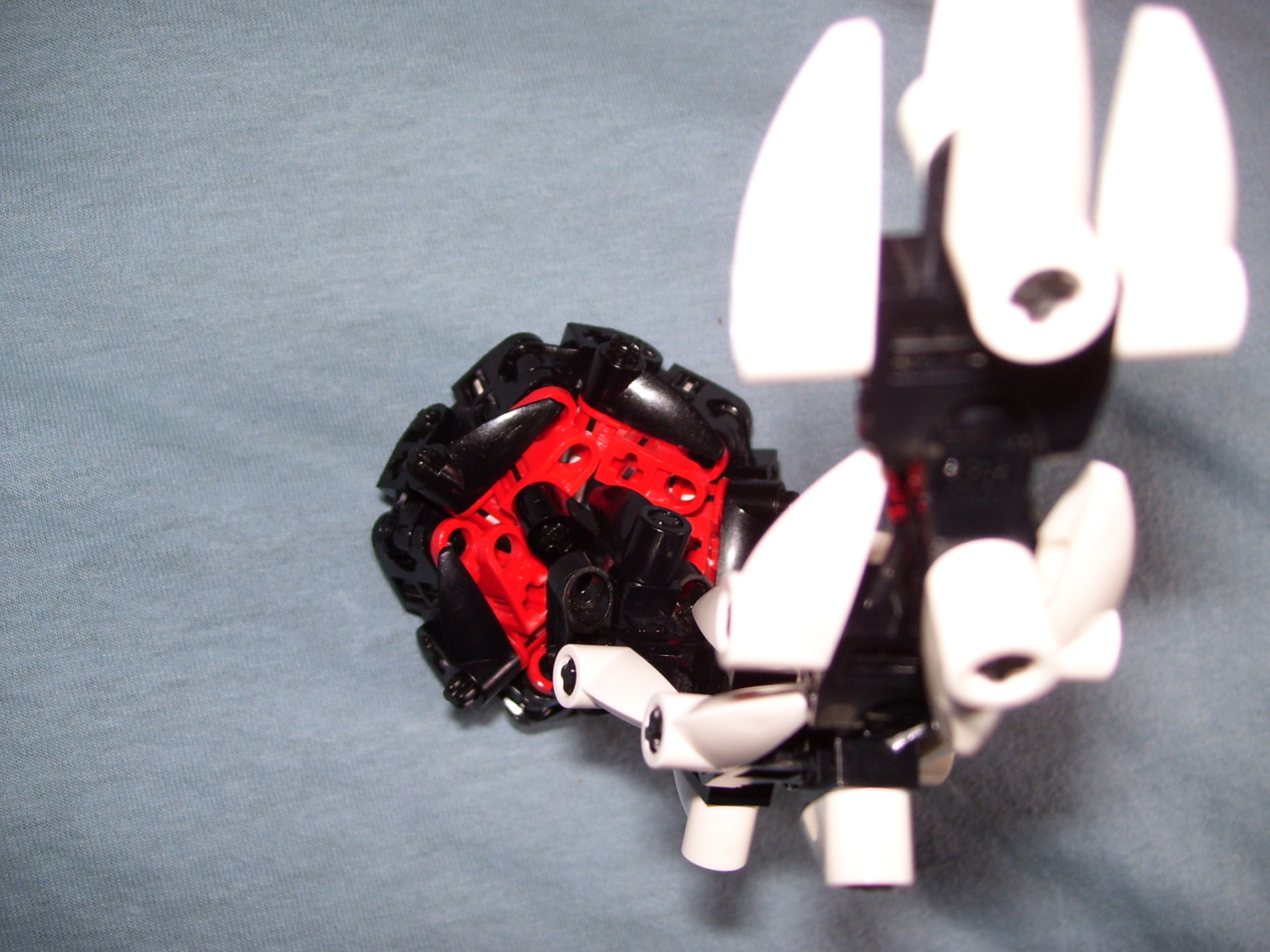 000_0486.jpg