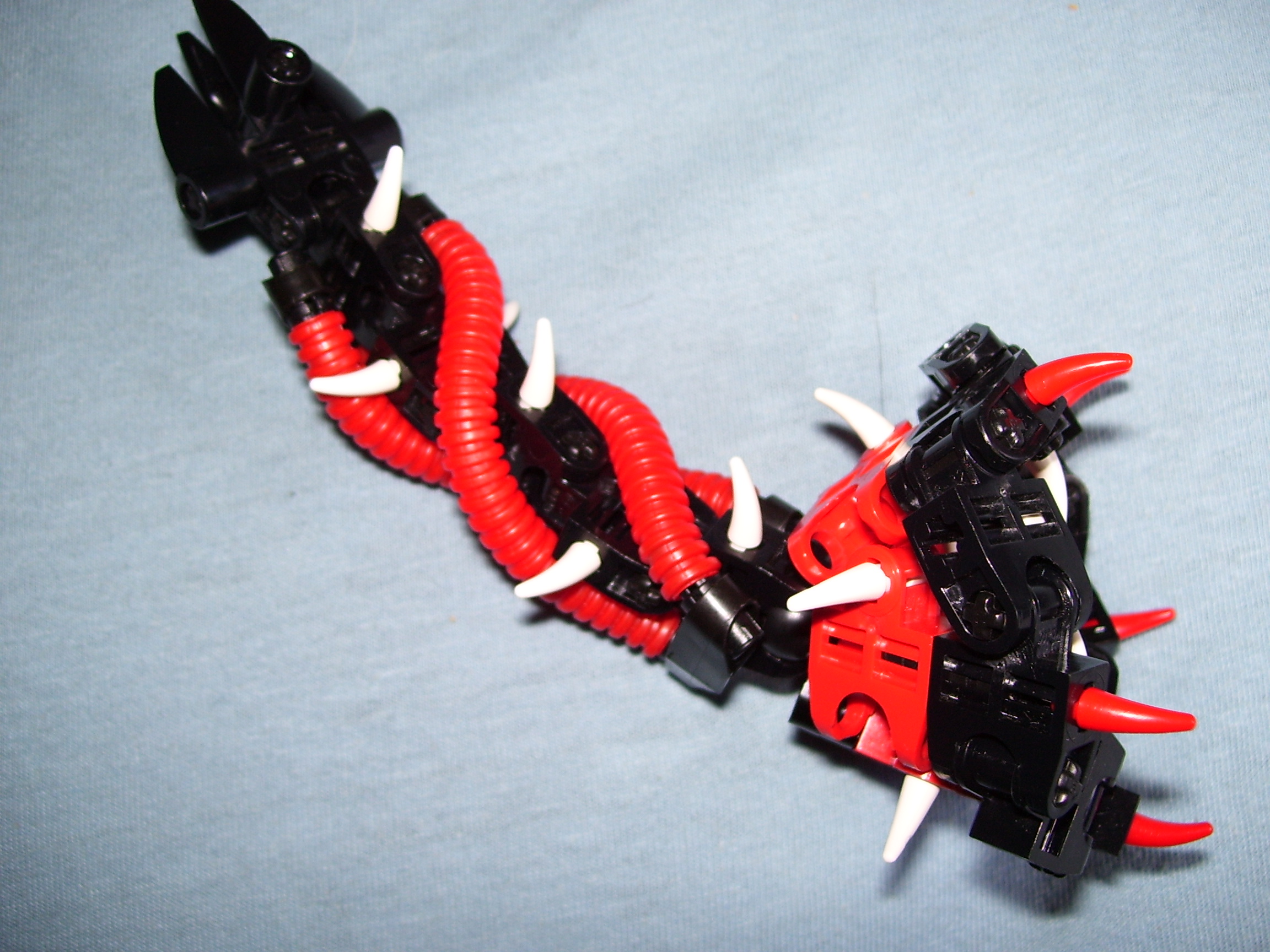 000_0491.jpg