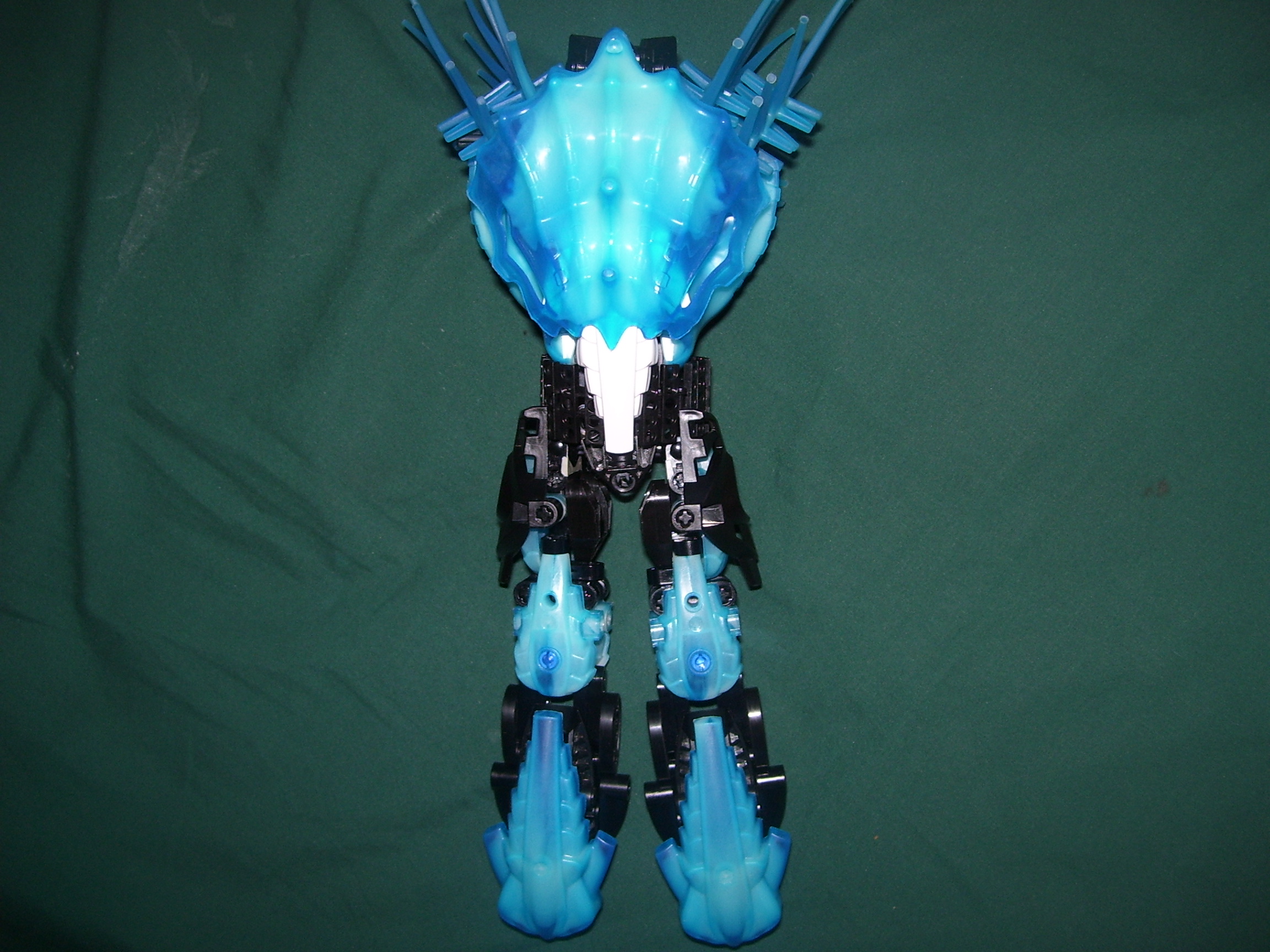 100_1123.jpg