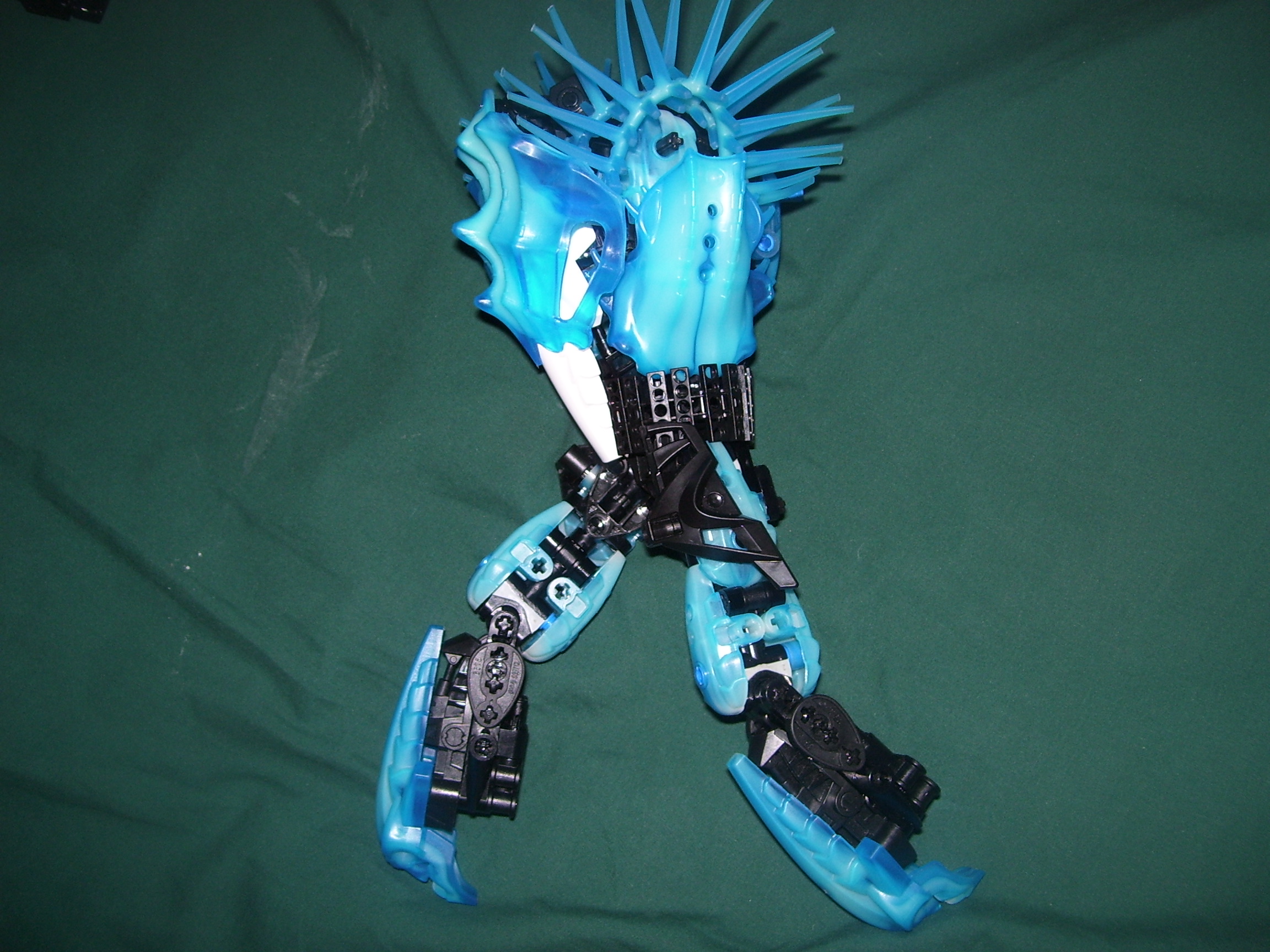 100_1125.jpg