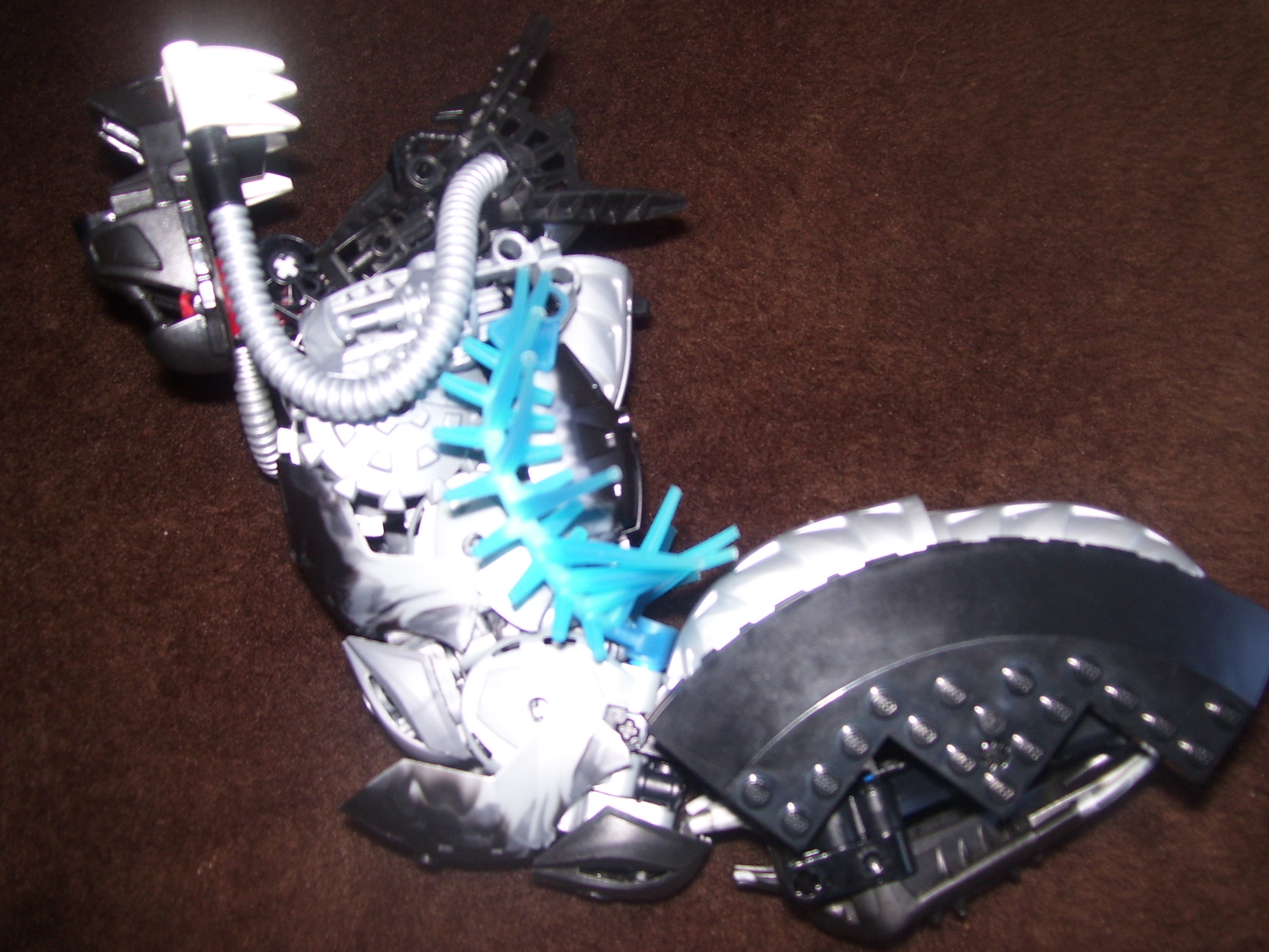 100_1248.jpg