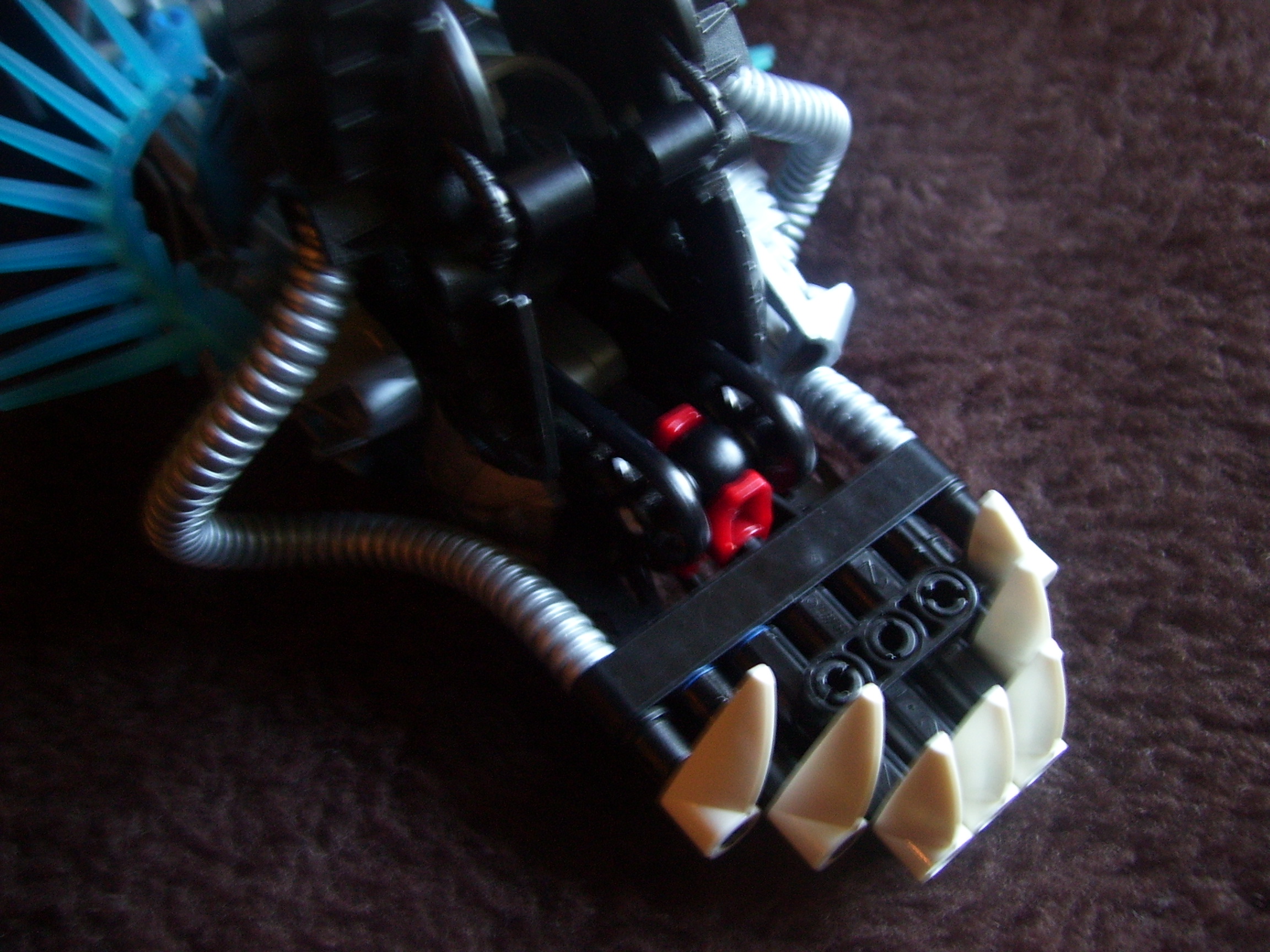 100_1250.jpg