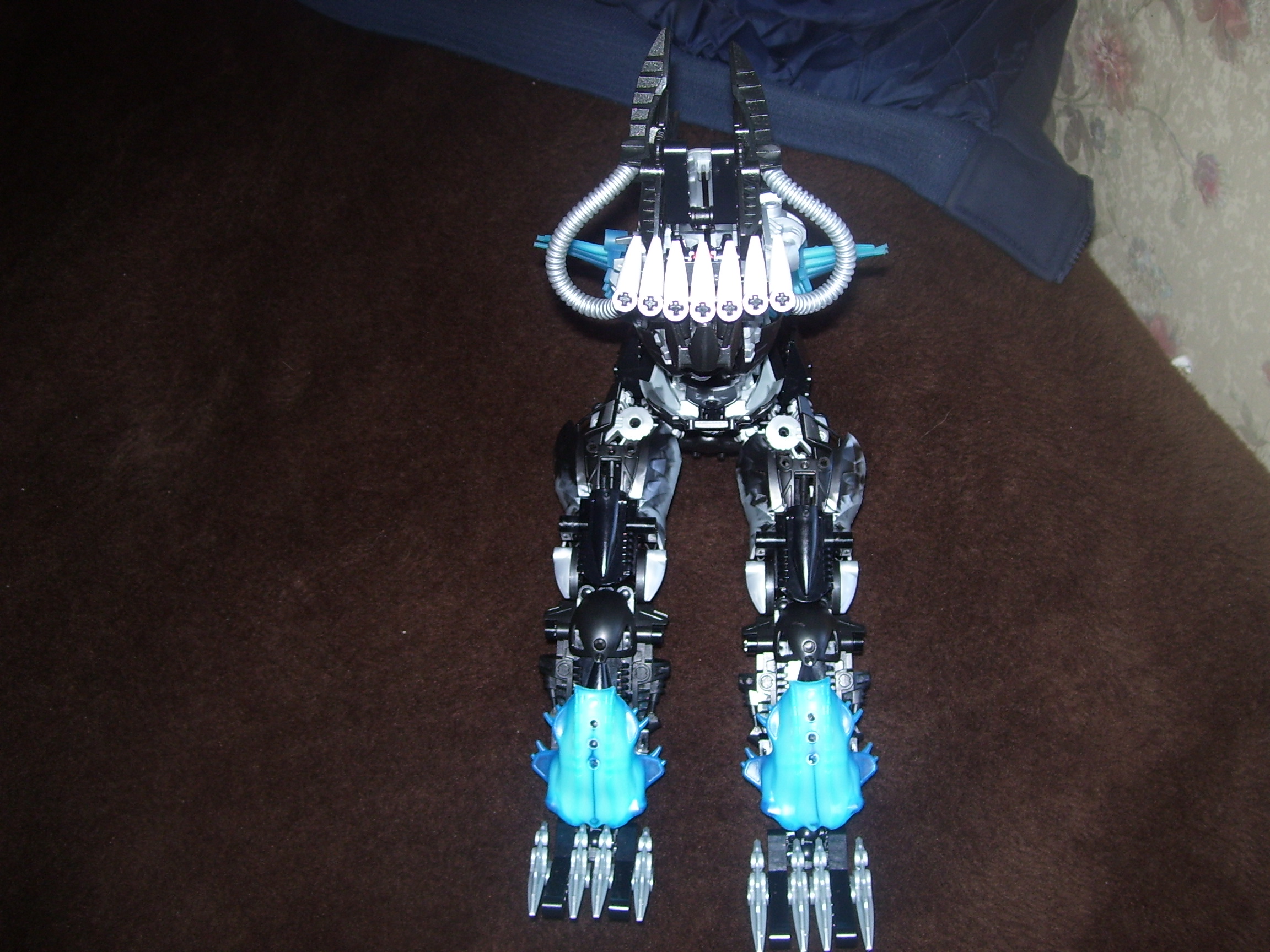 100_1254.jpg