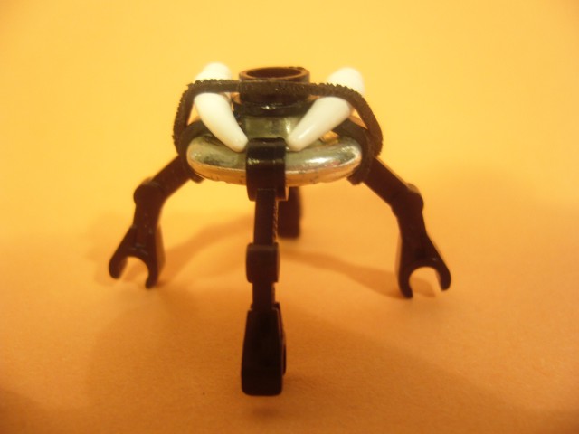 06-sun_disc_spider.jpg