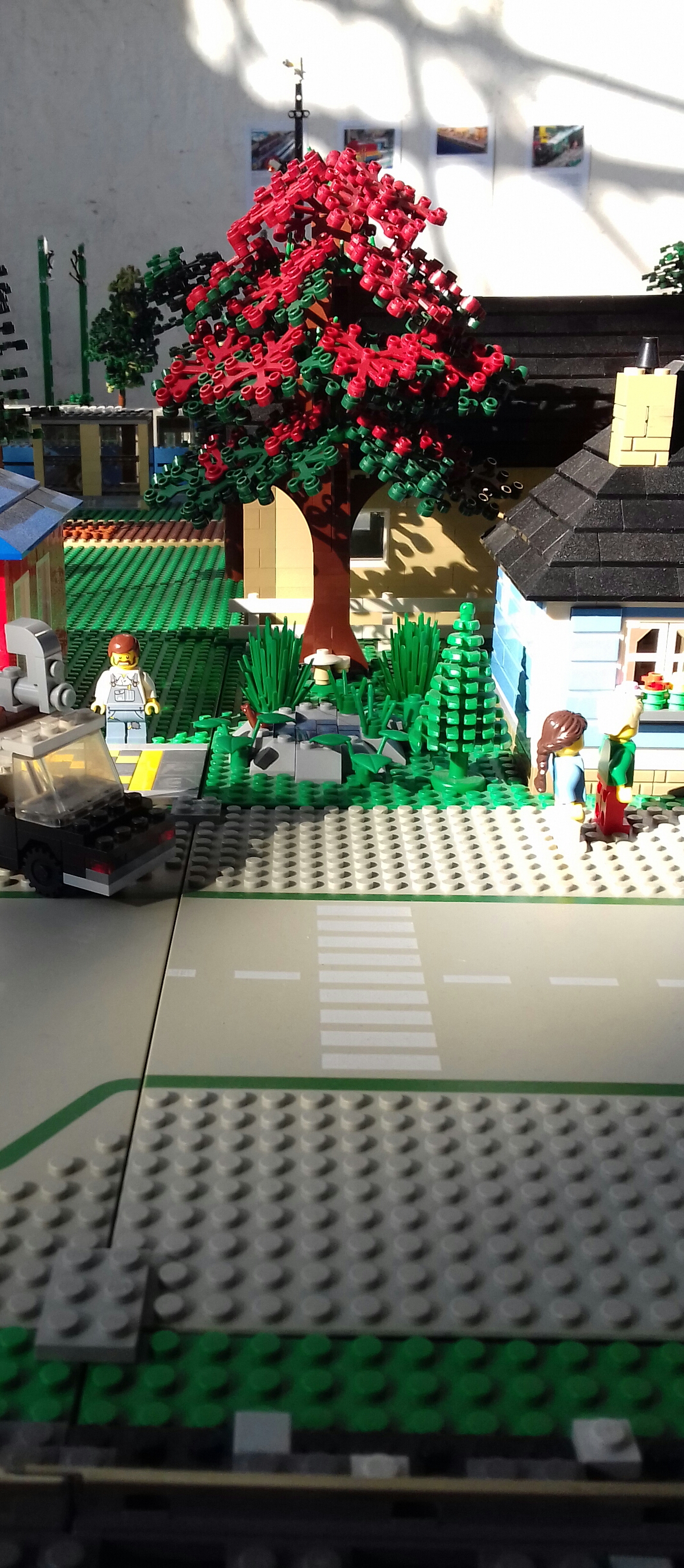 20181022_122310-1.jpg