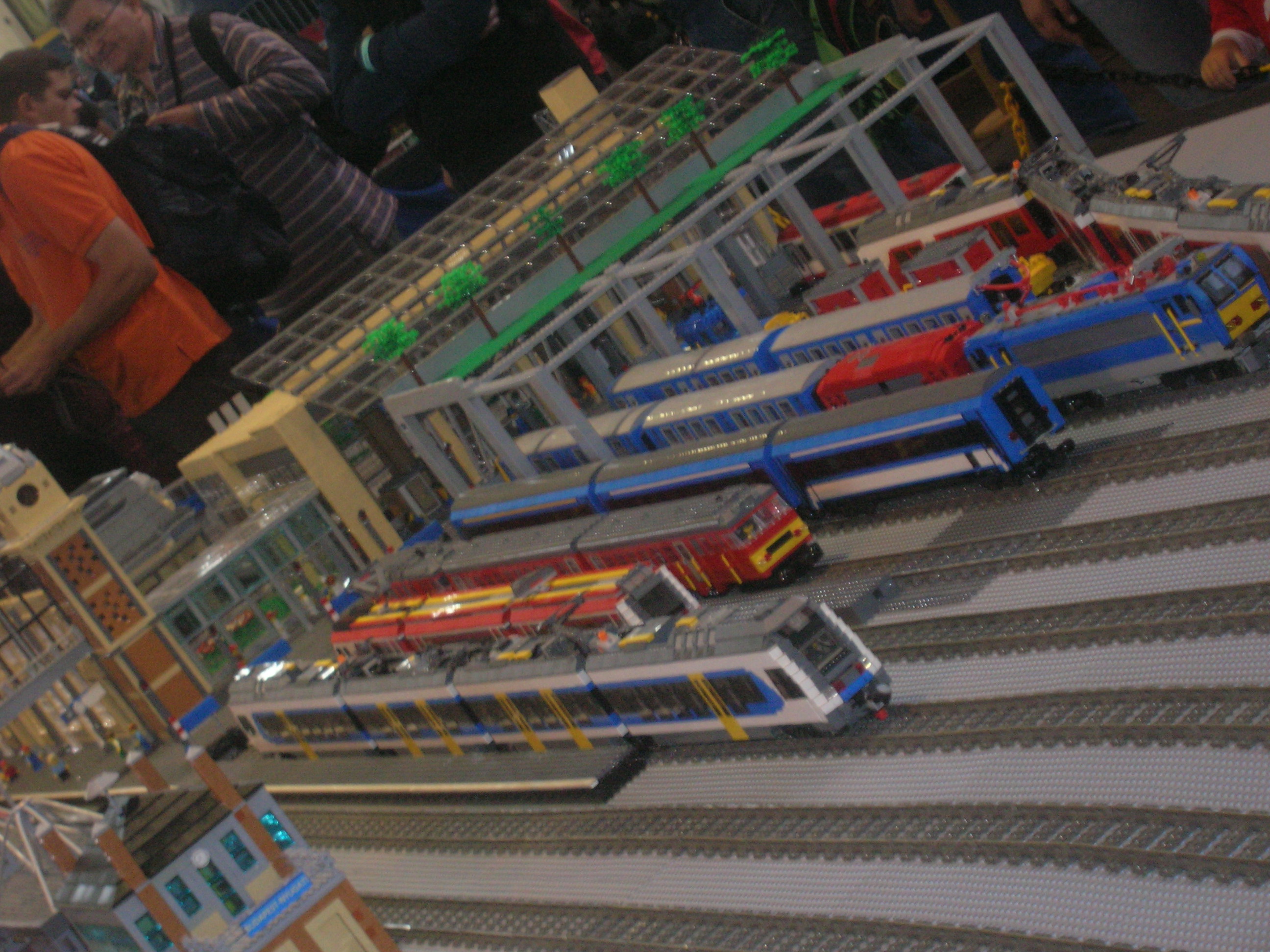 dscn5239.jpg