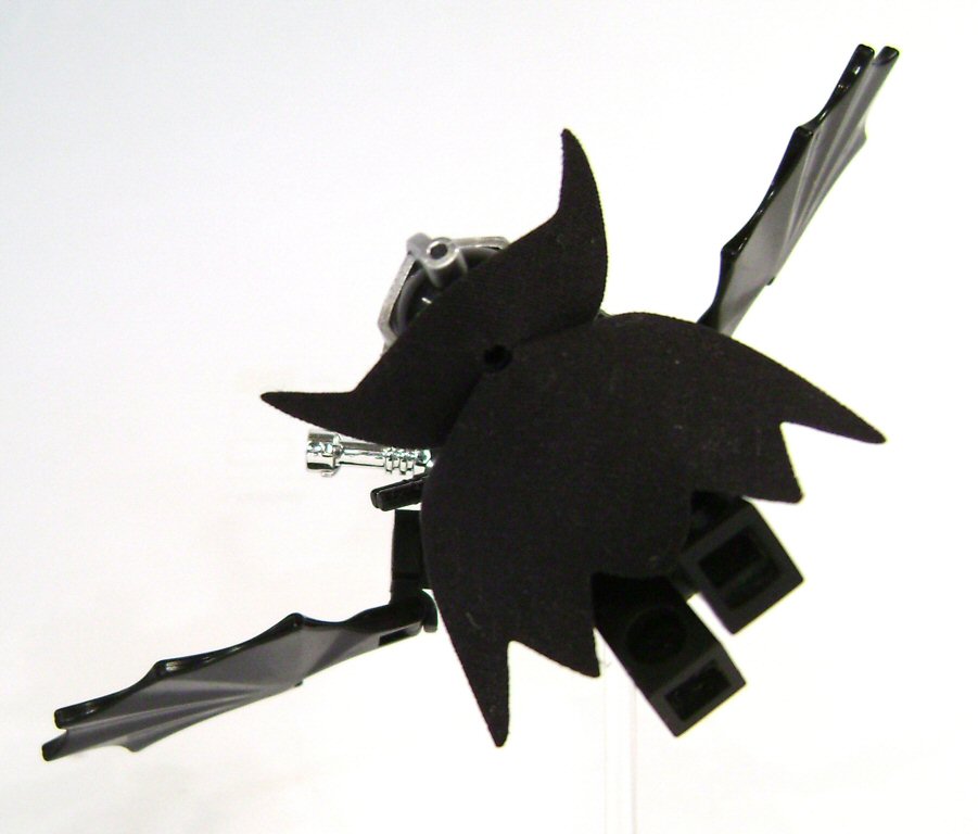 05draco.jpg