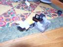 000_0487.jpg