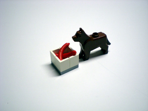 08-dog.jpg