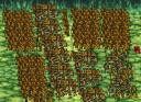total_war.png