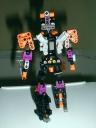 setector6.jpg