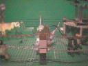 dinoland-001.jpg