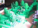 forest-001.jpg