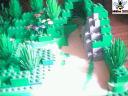 forest-002.jpg