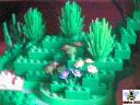 forest-004.jpg