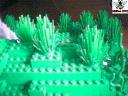 forest-005.jpg