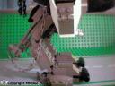 nosferatu-014.jpg