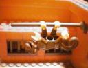 petstore-003.jpg
