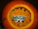 halloweenfun-19.jpg