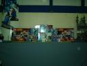 vcs2005-007.jpg
