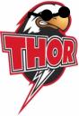 ThorTeam