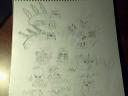 picture11.jpg