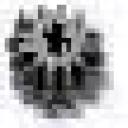 gear.bmp