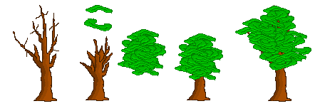 newtree.png