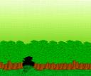 swampforest.png