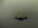 tolet1.jpg
