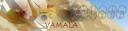 vamalabanner.jpg