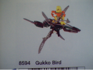 gukkobird.jpg