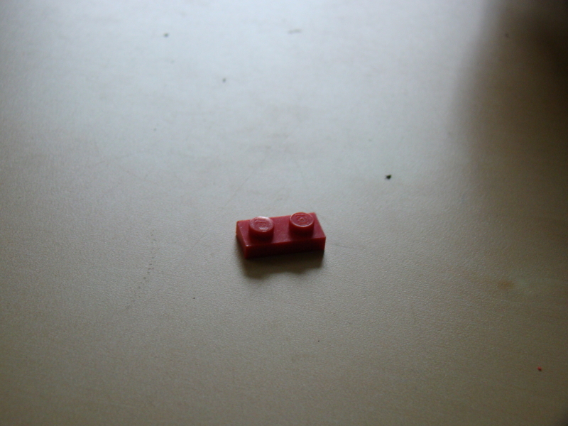 dsc00110.jpg