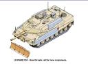 qleopard21.jpg