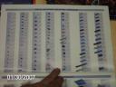 picture_1082.jpg