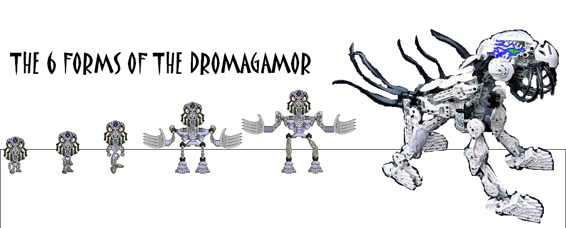 dromagamor6forms.png