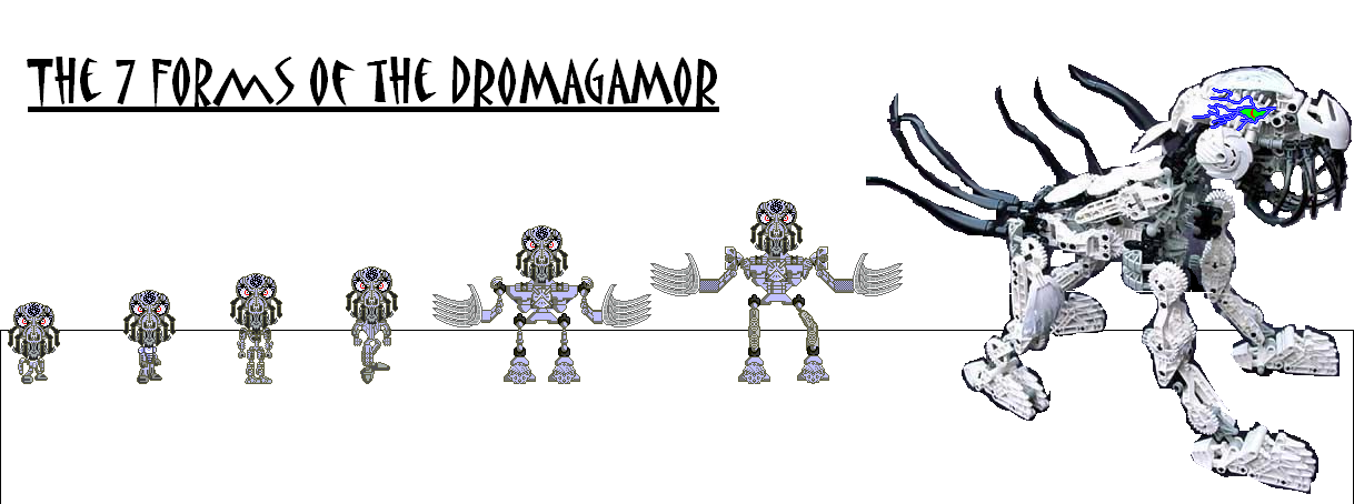 dromagamor7forms.png