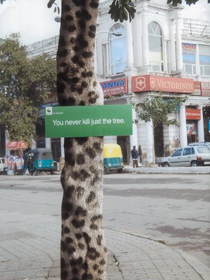 outdoor-leopard.jpg