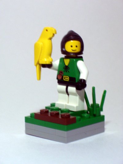 tiamenese_falconer.jpg