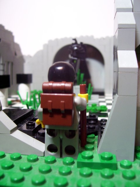 traveller.jpg