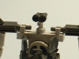 wb002.jpg